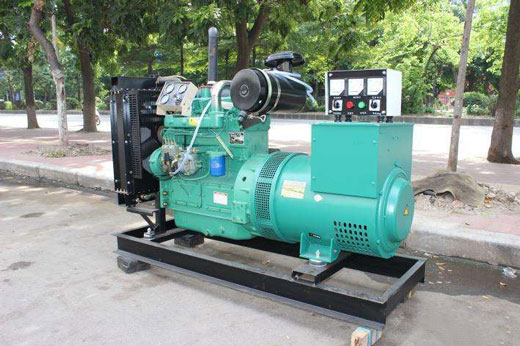 颍上发电机不发电的原因